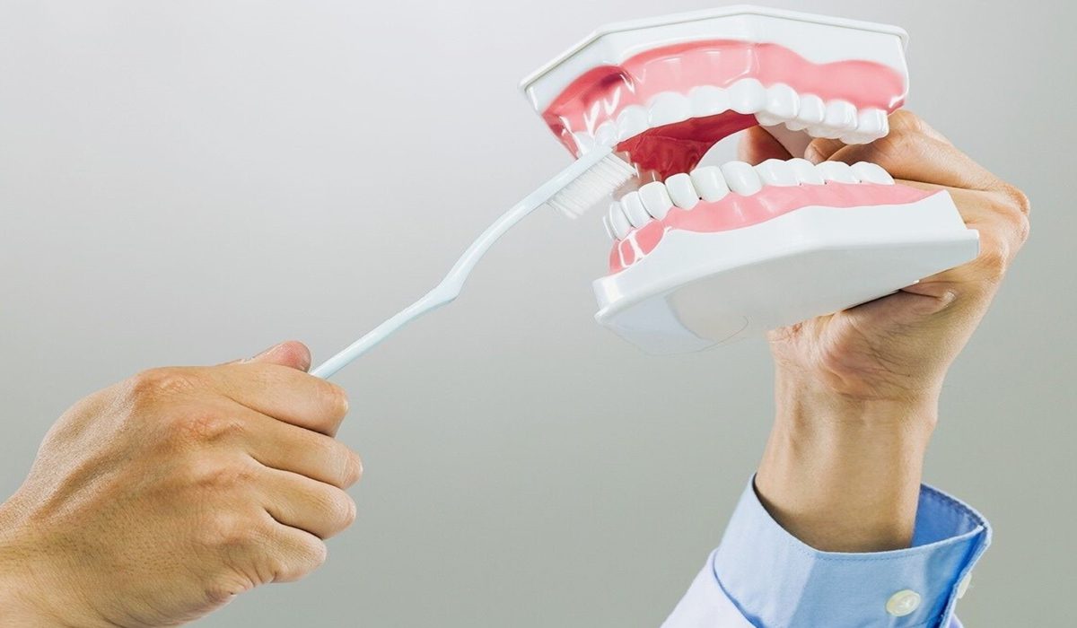 white artificial teeth and white toothbrush showing how to brush teeth